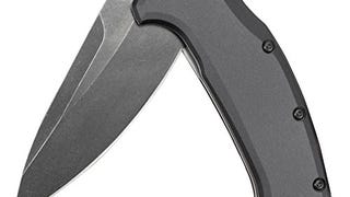 Kershaw Link Folding Pocket Knife, Gray Blackwash, SpeedSafe...