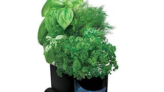 AeroGarden Sprout with Gourmet Herb Seed Pod Kit,