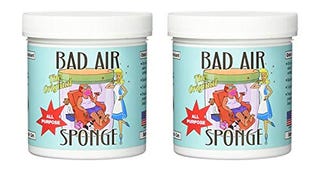 Bad Air Sponge Air Odor Absorbent, 14 ounce, 2-