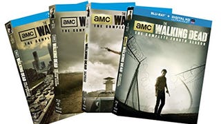 The Walking Dead Seasons 1-4 Collection