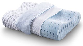CR COMFORT & RELAX Ventilated Memory Foam Contour Pillow...