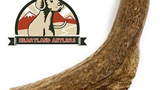 Elk Antlers for Dogs - Premium Grade A, Naturally Shed...