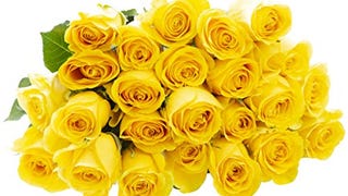 Blooms2Door 25 Yellow Roses (Farm-Fresh, Long Stem - 50cm)...