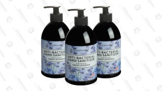 Simple Pleasures Scented Hand Sanitizer (3-Pack)
