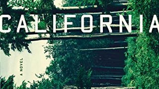 California: A Novel