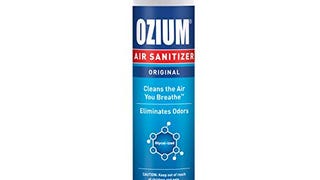 Ozium 805539 1-Piece Air Freshener & Sanitizer