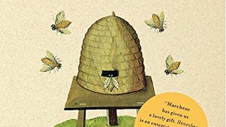 Honeybee: Lessons from an Accidental Beekeeper