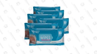 6-Pack: 80ct Antibacterial Wipes (480 Total)