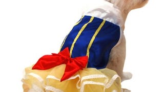 Anit Accessories Snow Princess Dog Costume, 8-