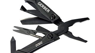 Gerber Gear 30-000469N 12-in-1 Dime Multitool Mini, Needle...