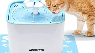 Pet Fountain Cat Water Dispenser - Healthy and Hygienic...