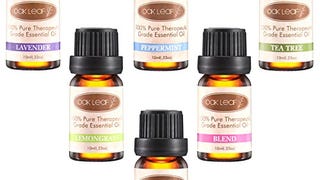 Oak Leaf Aromatherapy Essential Oils Set of 6 100% Pure...