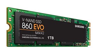 Samsung SSD 860 EVO 1TB M.2 SATA Internal SSD (MZ-N6E1T0BW)...