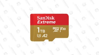Sandisk Extreme 1TB microSD card