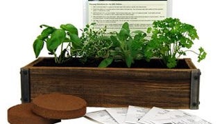 Reclaimed Barnwood Planter Box Mini Herb Garden Kit - Grow...