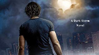 The Reckoning: A Dark Storm Novel (A Dark Storm Novel, 3)...