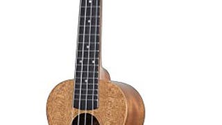 Snail Concert Ukulele,Playable Musical Instrument, 23 inch...