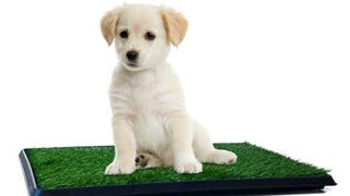 Artificial Grass Puppy Pad for Dogs and Small Pets – Portable...