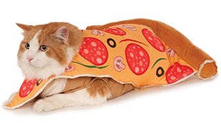 Pizza Slice Pet Suit, Small