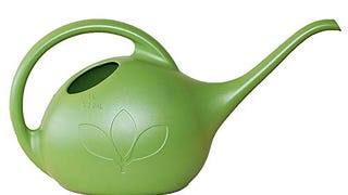 Novelty 30601 Indoor Watering Can, 1/2 Gallon,