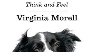 Animal Wise: How We Know Animals Think and Feel