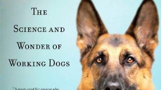 What the Dog Knows: The Science and Wonder of Working...