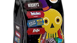 HERSHEY'S Snack Size Candy Assortment, 48-Ounce Bag (160...