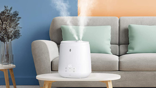 TaoTronics 6L Warm and Cool Mist Humidifier