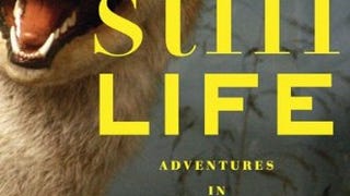 Still Life: Adventures in Taxidermy