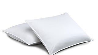 Standard Textile Chamberloft Down Pillow; Set of 2; Standard...