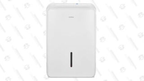 Insignia 50-Pint Dehumidifier