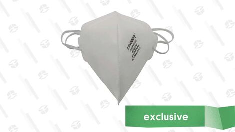 N95 Masks (10-Pack)