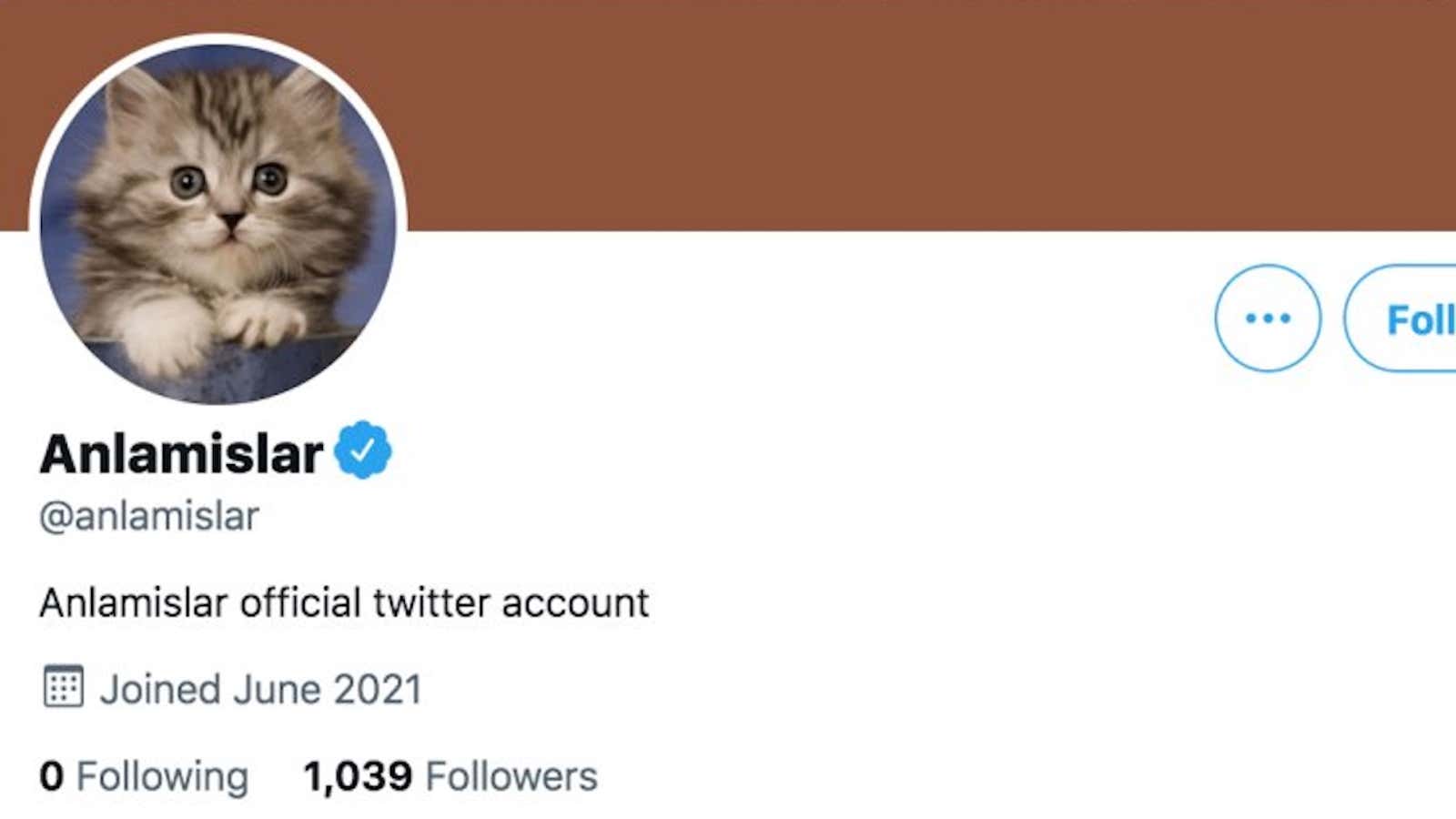Twitter Takes Down Fake Cat Account