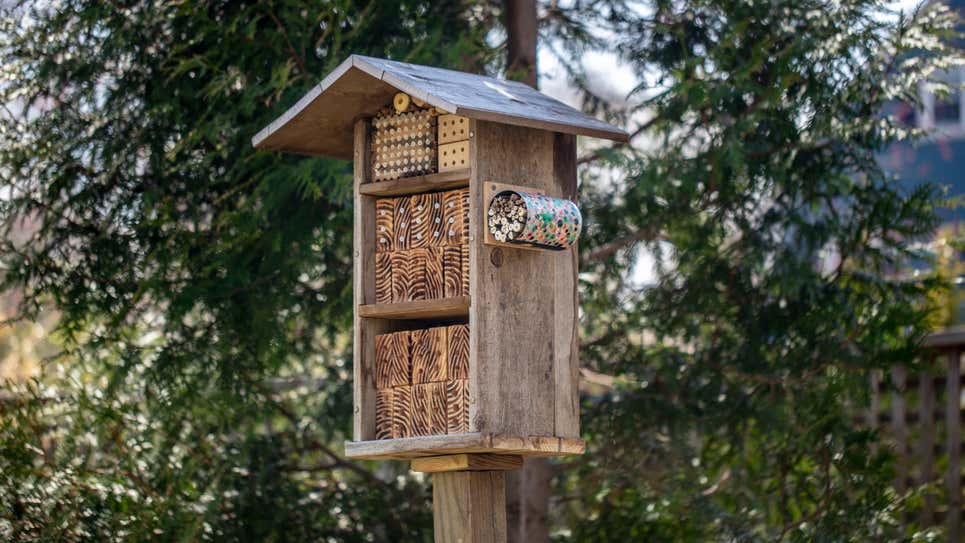 Biologist Colin Purrington’s own three-level bee hotel.