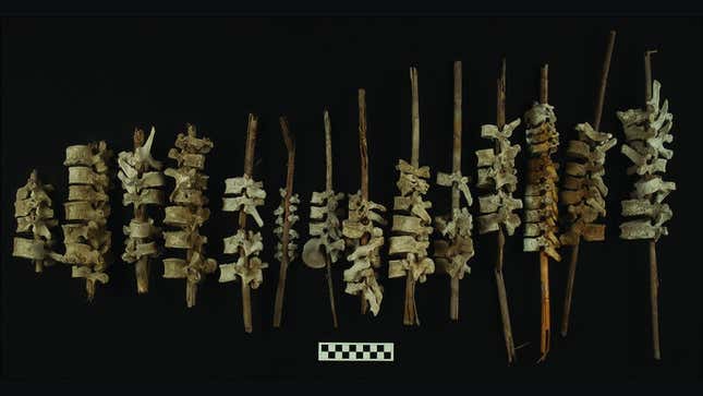 Una muestra de las 192 vértebras humanas descubiertas en Perú