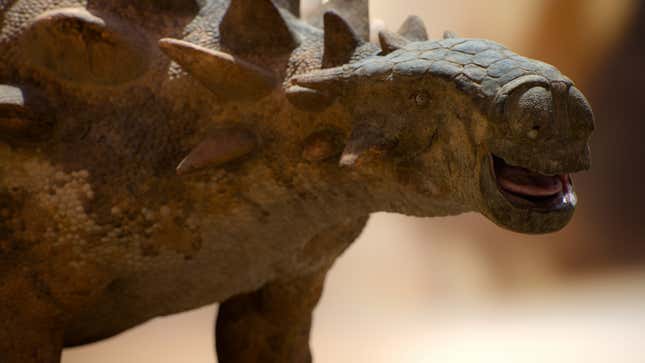 The ankylosaur Tarchia features successful nan caller season's 2nd episode.