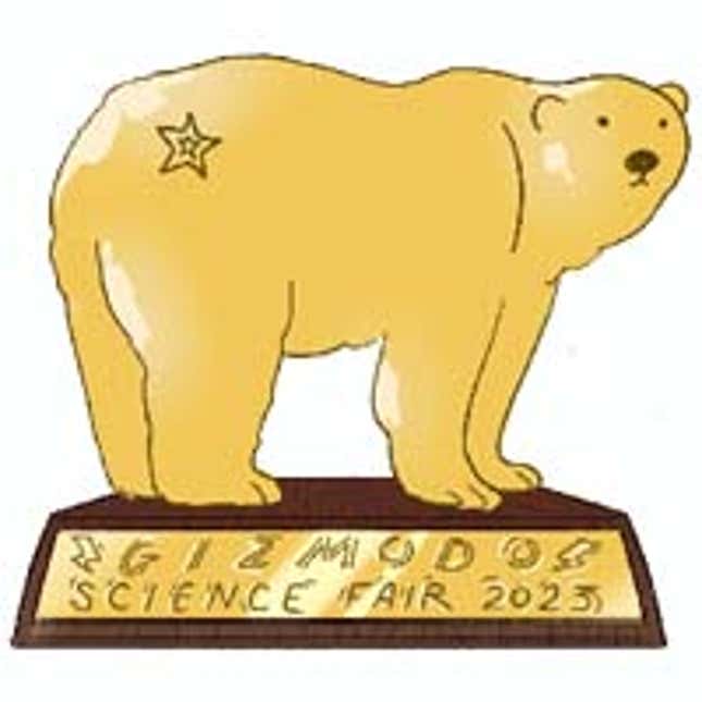 Image for article titled The Winners of the 2023 Gizmodo Science Fair