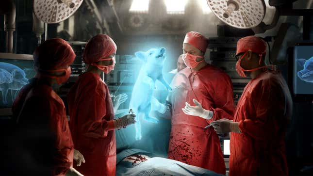 Image for article titled Vatican Scientists Successfully Transplant Pig Soul Into Human