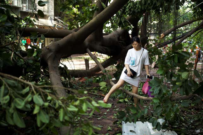 Image for article titled Photos: Super Typhoon Mangkhut mangles all in its path