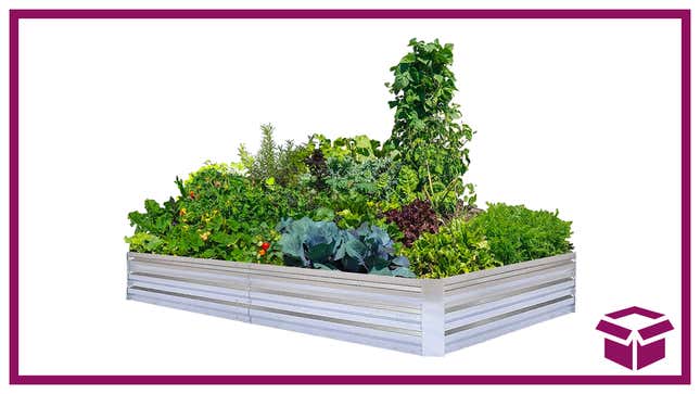 Take 50% off Amazon’s Choice of garden beds and nurture your green thumb.