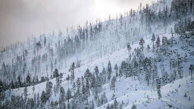 A coat of fresh snow is seen on a mountain the morning after a winter storm pelted the region with a large amount of snow, in South Lake Tahoe, Calif., Sunday, Jan. 1, 2023