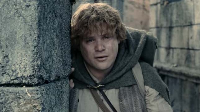 lord of the rings frodo sam