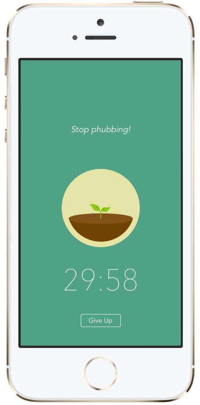 The Forest app.