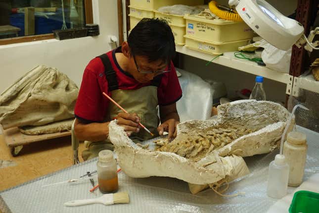Researchers at the Mongolia Institute of Paleontology examining a fossil from the Gobi.