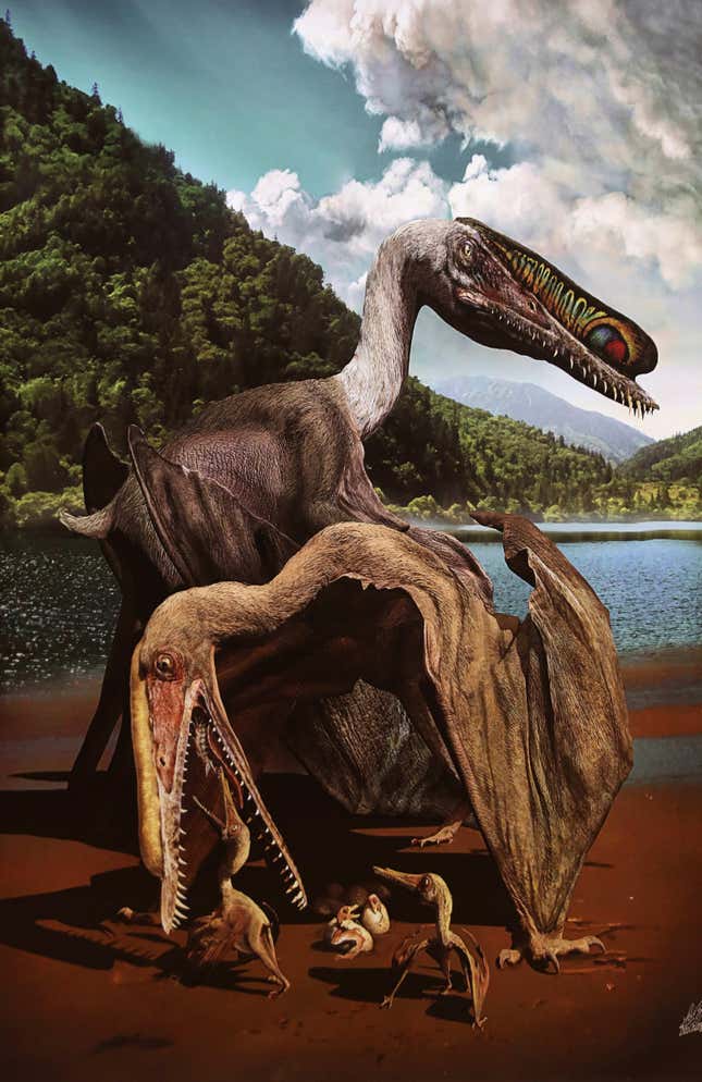 Brazilian and Chinese researchers present an artist rendition of two pterosaurs during a press conference at the National Museum of Rio de Janeiro, Brazil, 30 November 2017. Brazilian and Chinese researchers present over 300 pterosaur fosssilized eggs found at the Hami region, north eastern China in one of the biggest findings of extinct vertebrates' eggs in history. EPA-EFE/MARCELO SAYAO