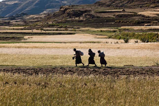 Ethiopia land grabbing