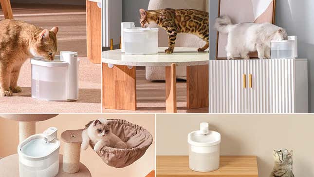 Keep Your Pet Hydrated With This 36% Off Cordless Water Fountain