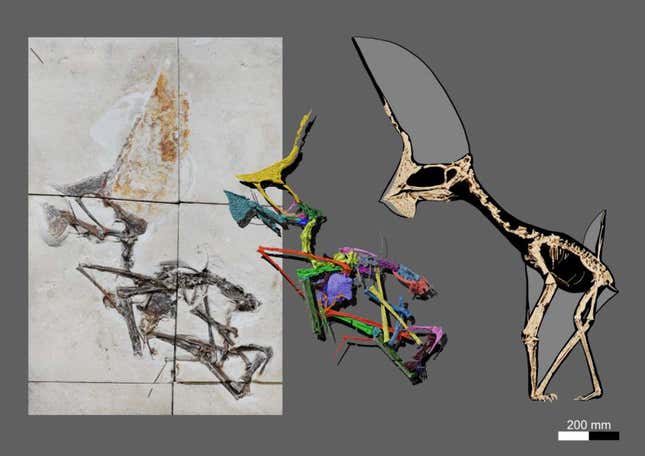 Una foto de la muestra cortada y el modelo 3D y el diagrama que el equipo pudo extraer de ella.