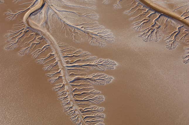 The Colorado River delta