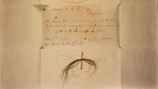 The 'Stumpff lock', one of five locks of hair attributed to Ludwig van Beethoven.